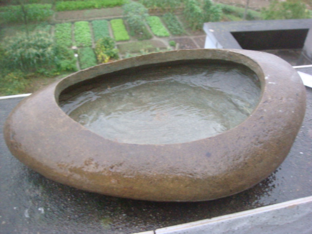 DSC04892.JPG