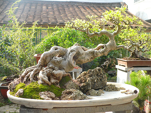P1030803_.jpg