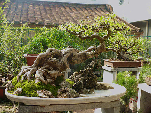 P1030805_.jpg