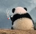 δ26.gif
