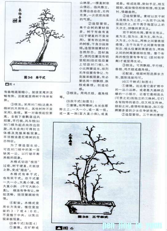中国語　嶺南盆景　藝術與技法　園藝系列⑪ 中国語 嶺南盆景 藝術與技法 園藝系列⑪
