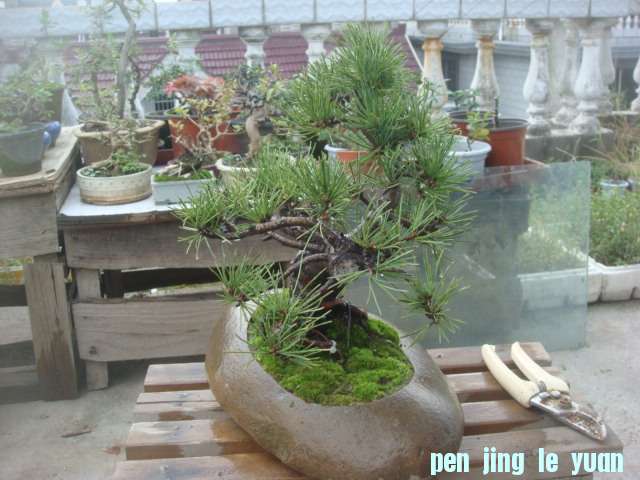 DSC04896.JPG