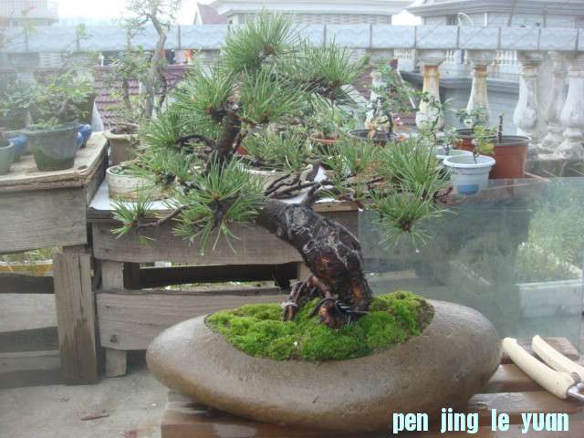 DSC04900.JPG