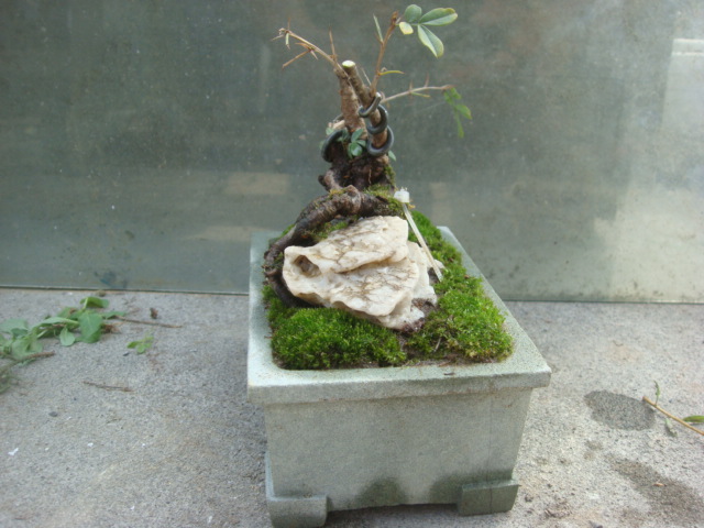DSC04908.JPG