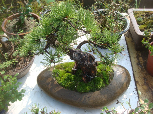 DSC04912.JPG