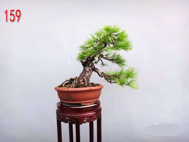  50X40X6.jpg