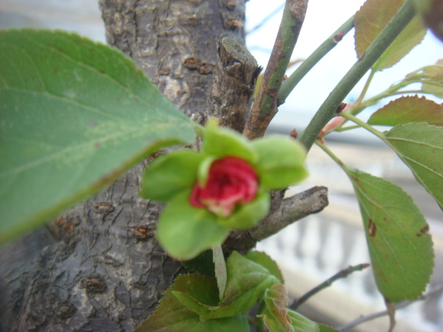 DSC04917.JPG