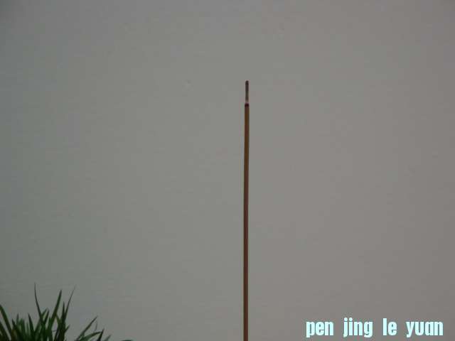 DSC00525.JPG