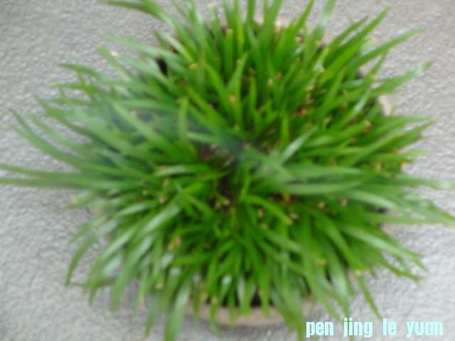 DSC00533.JPG