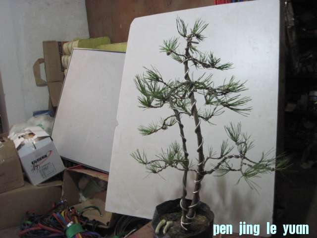 2012-09-25���� 005.jpg