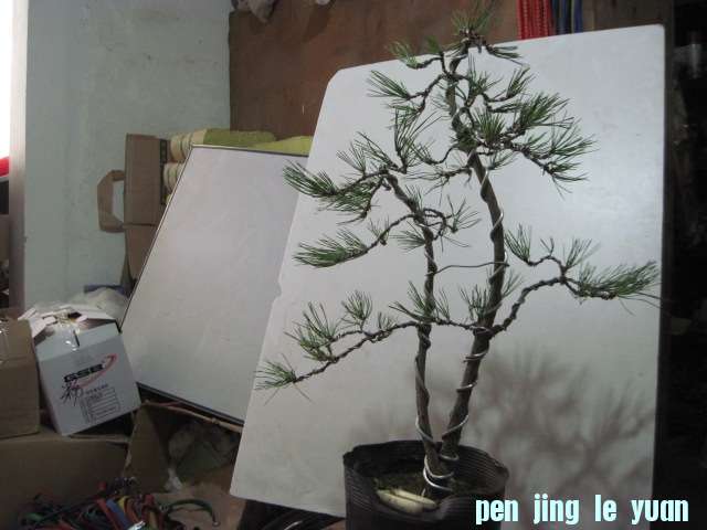 2012-09-25���� 006.jpg