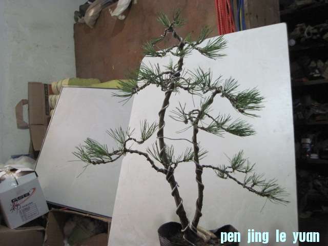 2012-09-25���� 007.jpg