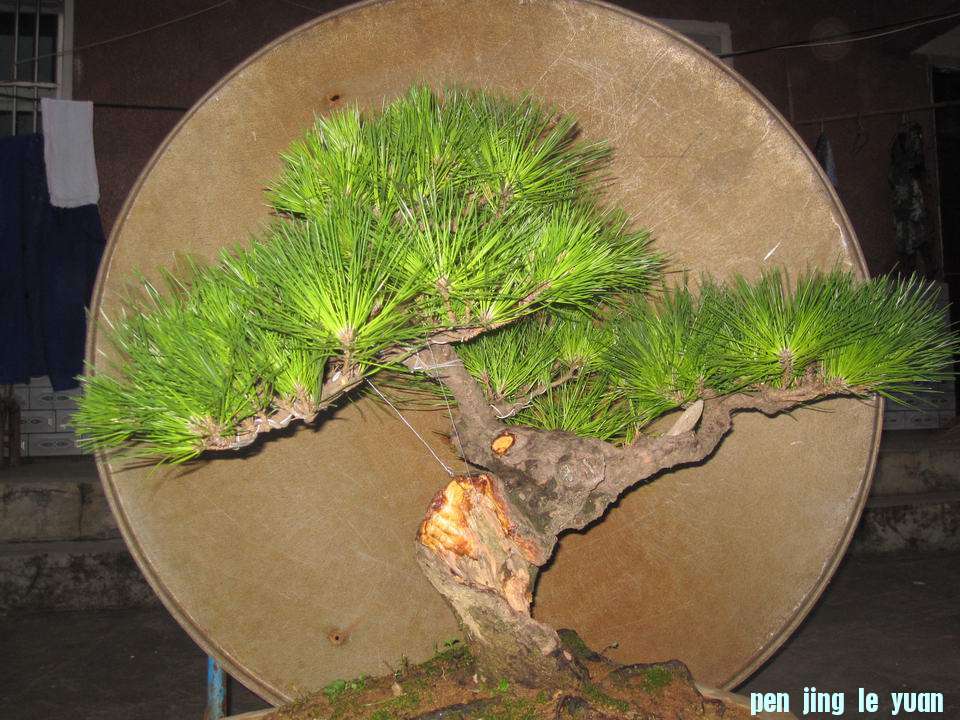 IMG_2166.jpg