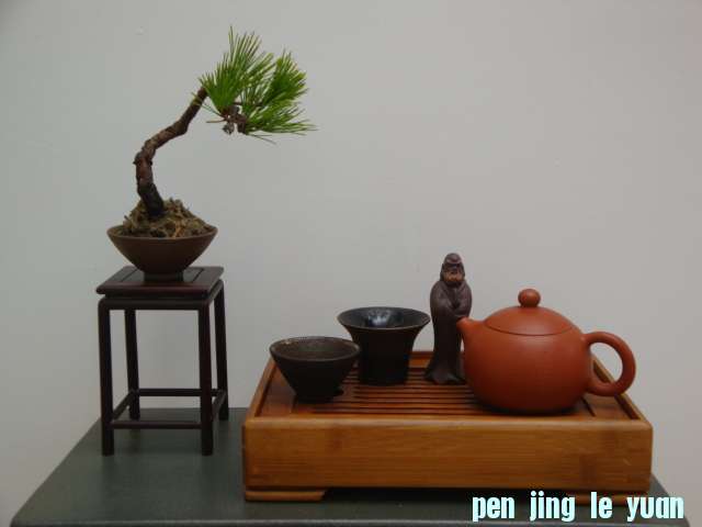 DSC00535.JPG
