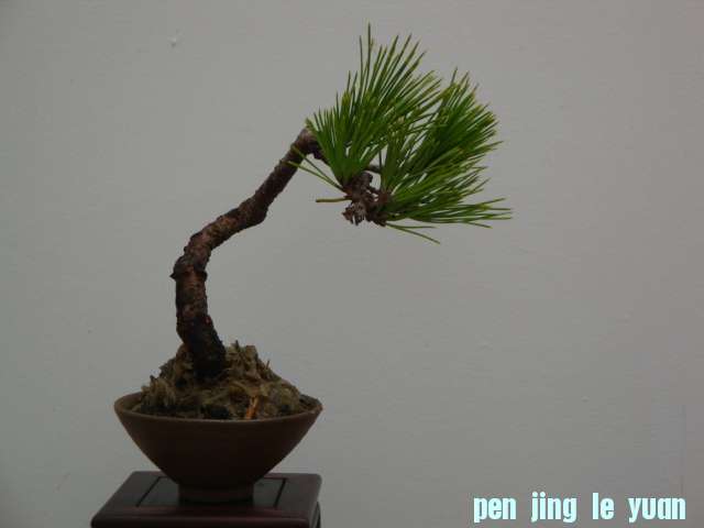 DSC00536.JPG