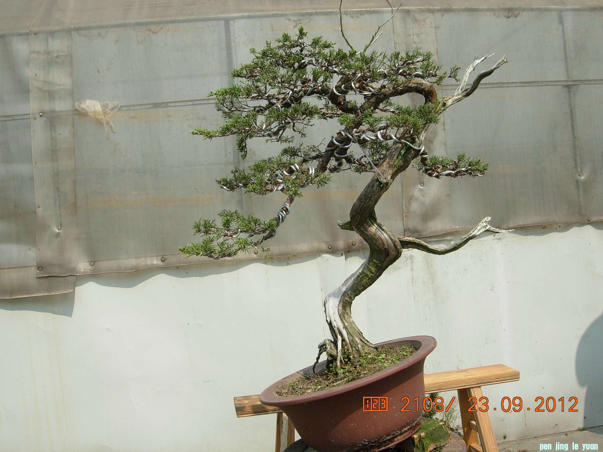 DSCN6361.JPG