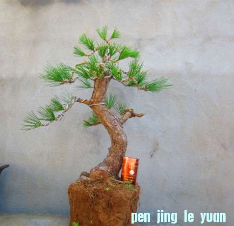 SW{_GJMV@Y9JV}ZGC(~G8YI.jpg