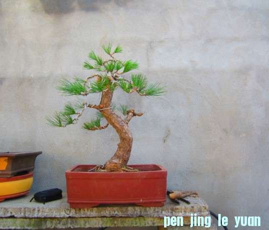 ZQV@JMQL()O__XY8)7D(E@A.jpg