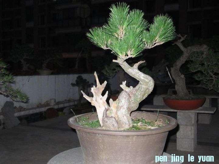 1_jpg_thumb.jpg