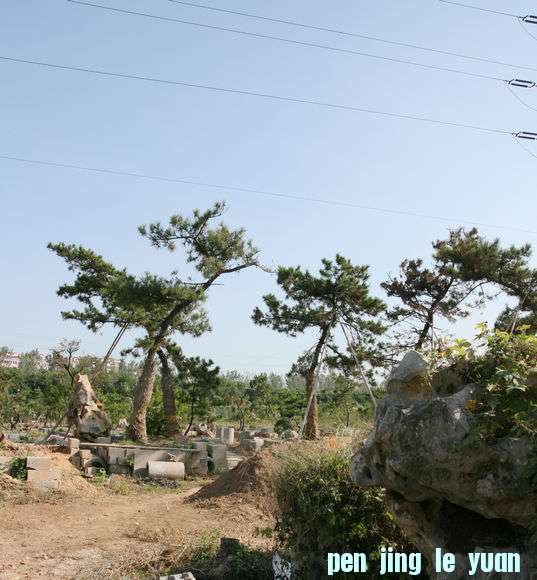 Ƭ 078.jpg
