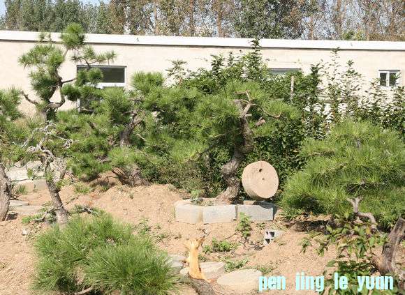 Ƭ 099.jpg