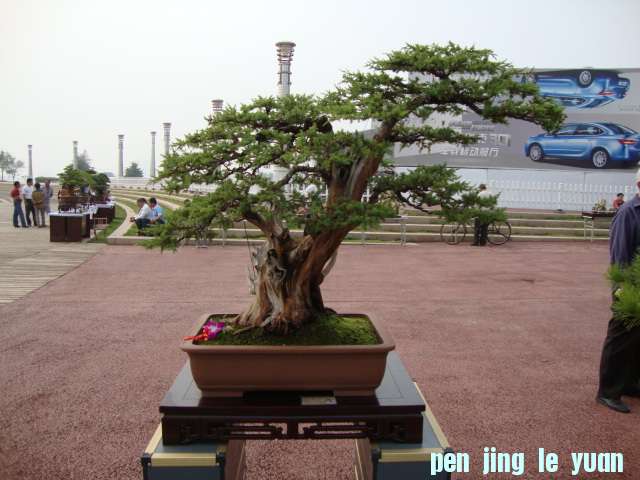 DSC02542.JPG