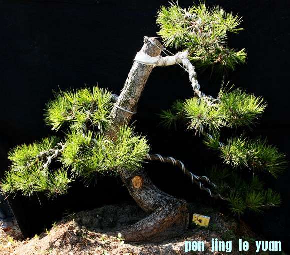 Ƭ 025.jpg