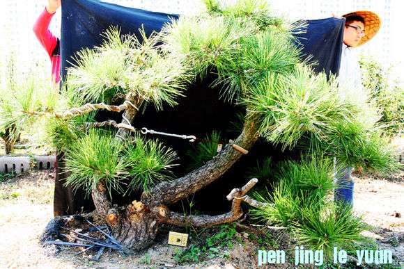 Ƭ 029.jpg