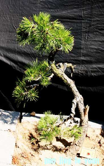 Ƭ 038.jpg