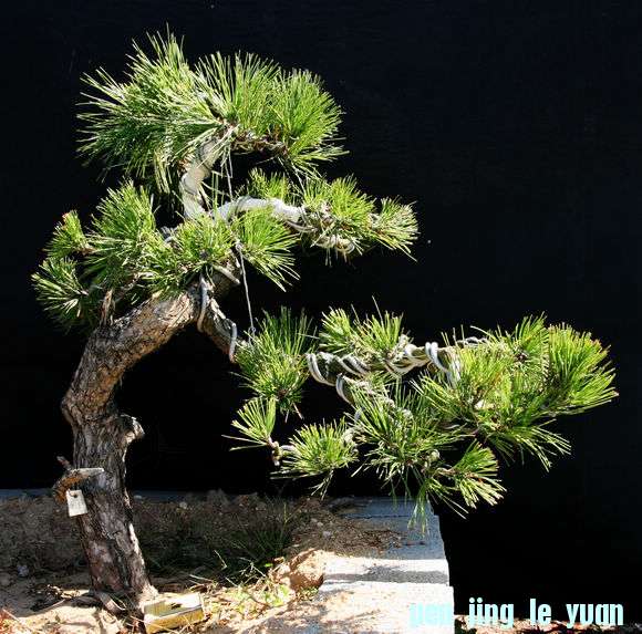 Ƭ 040.jpg
