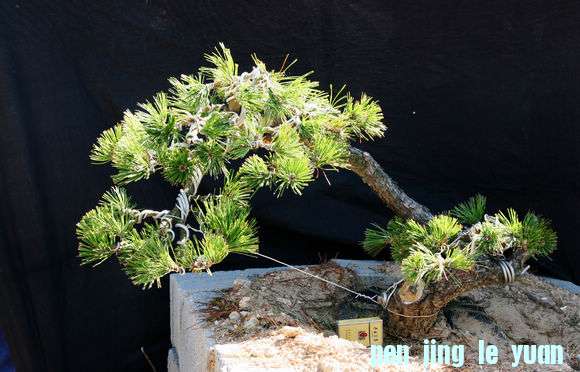 Ƭ 042.jpg