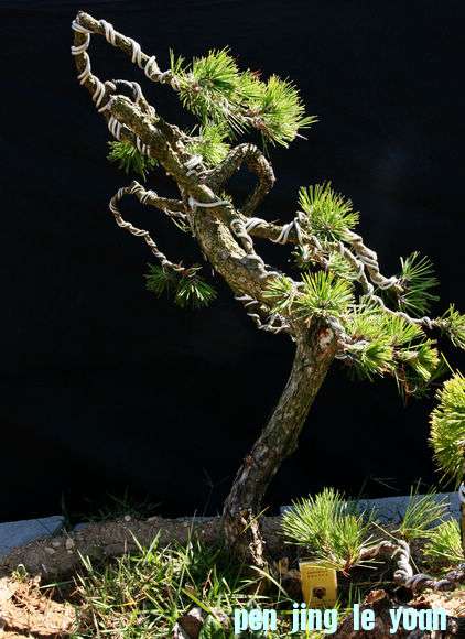 Ƭ 046.jpg