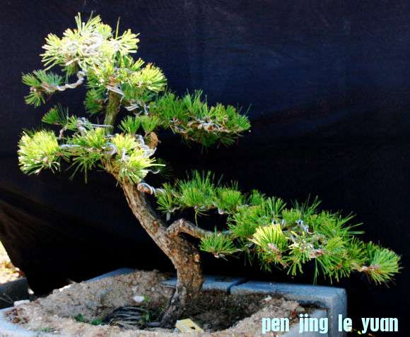 Ƭ 055.jpg