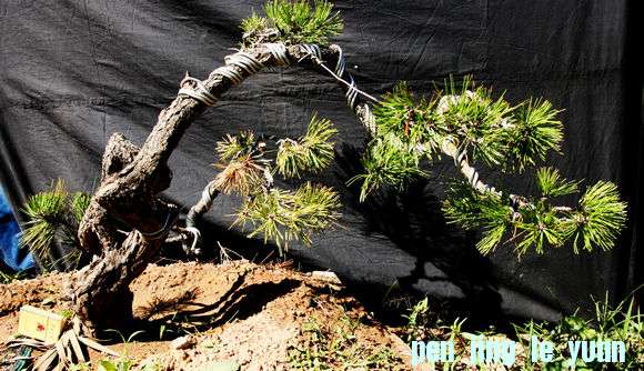 Ƭ 059.jpg