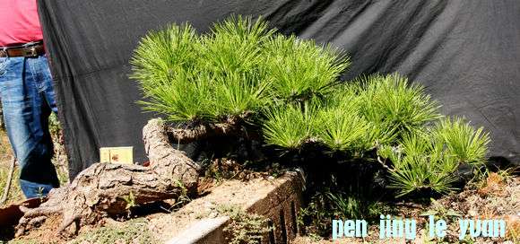 Ƭ 065.jpg