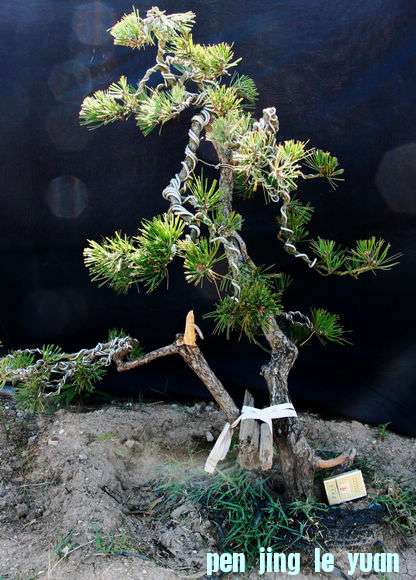 Ƭ 070.jpg