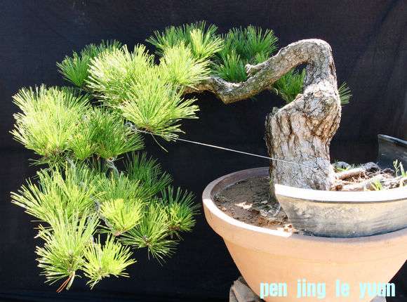 Ƭ 080.jpg