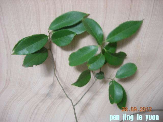 DSCN4634.JPG