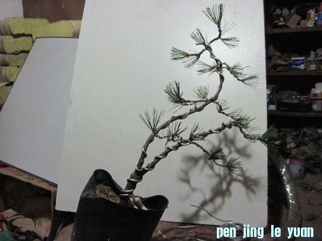 2012-09-28 006.jpg