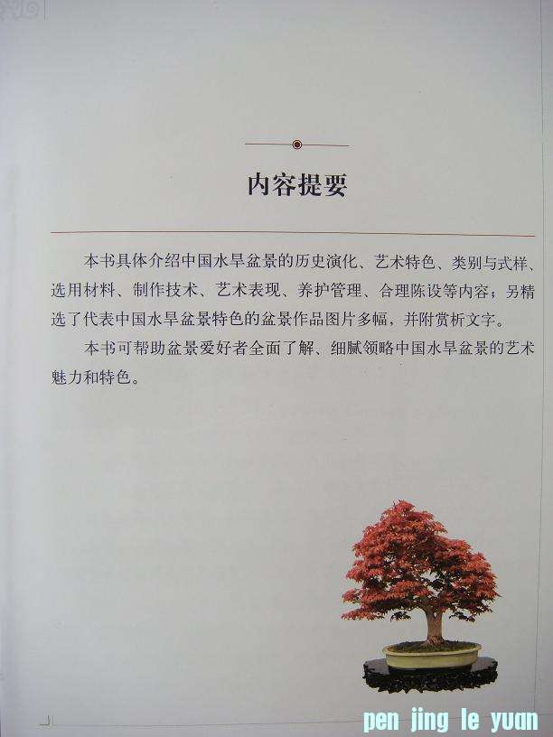 DSC02945.JPG
