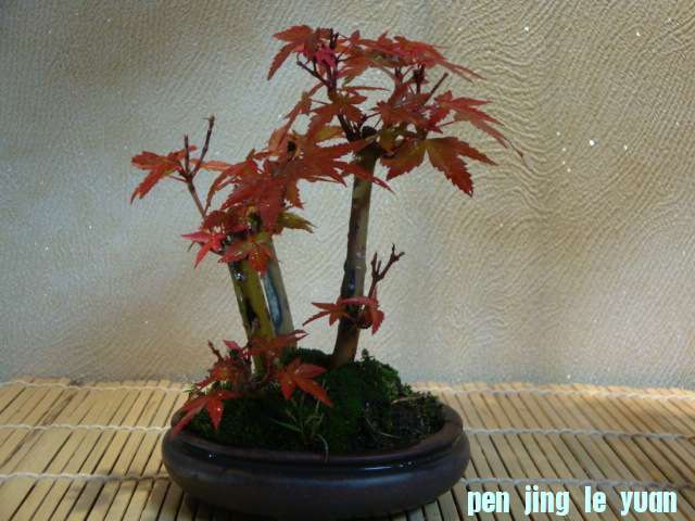 DSC00608.JPG