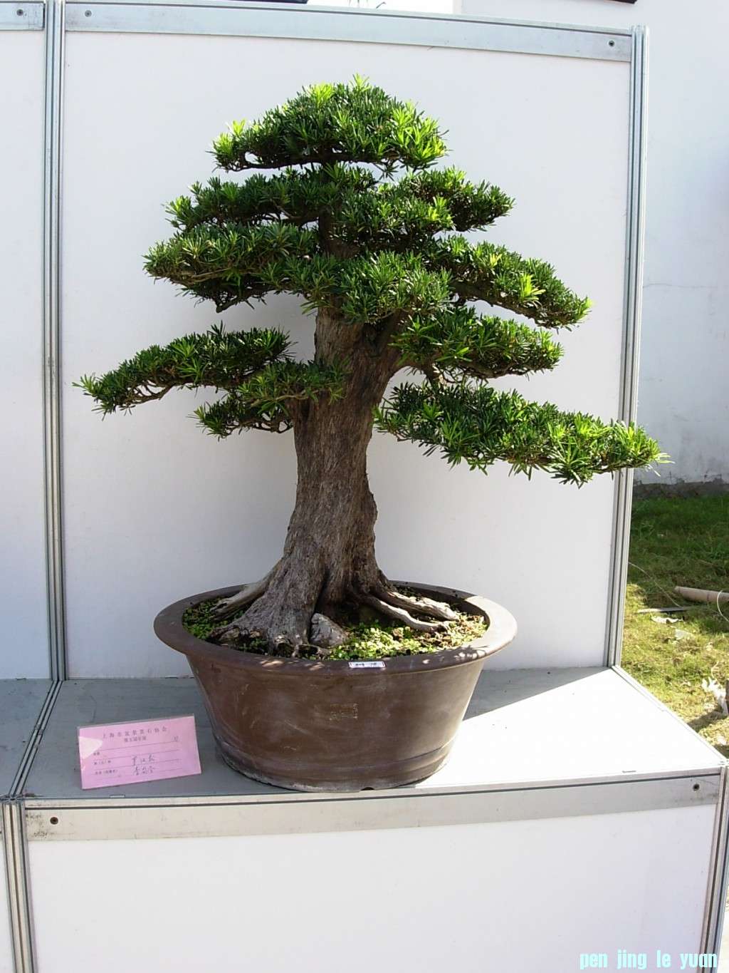 conew_dscn8190.jpg