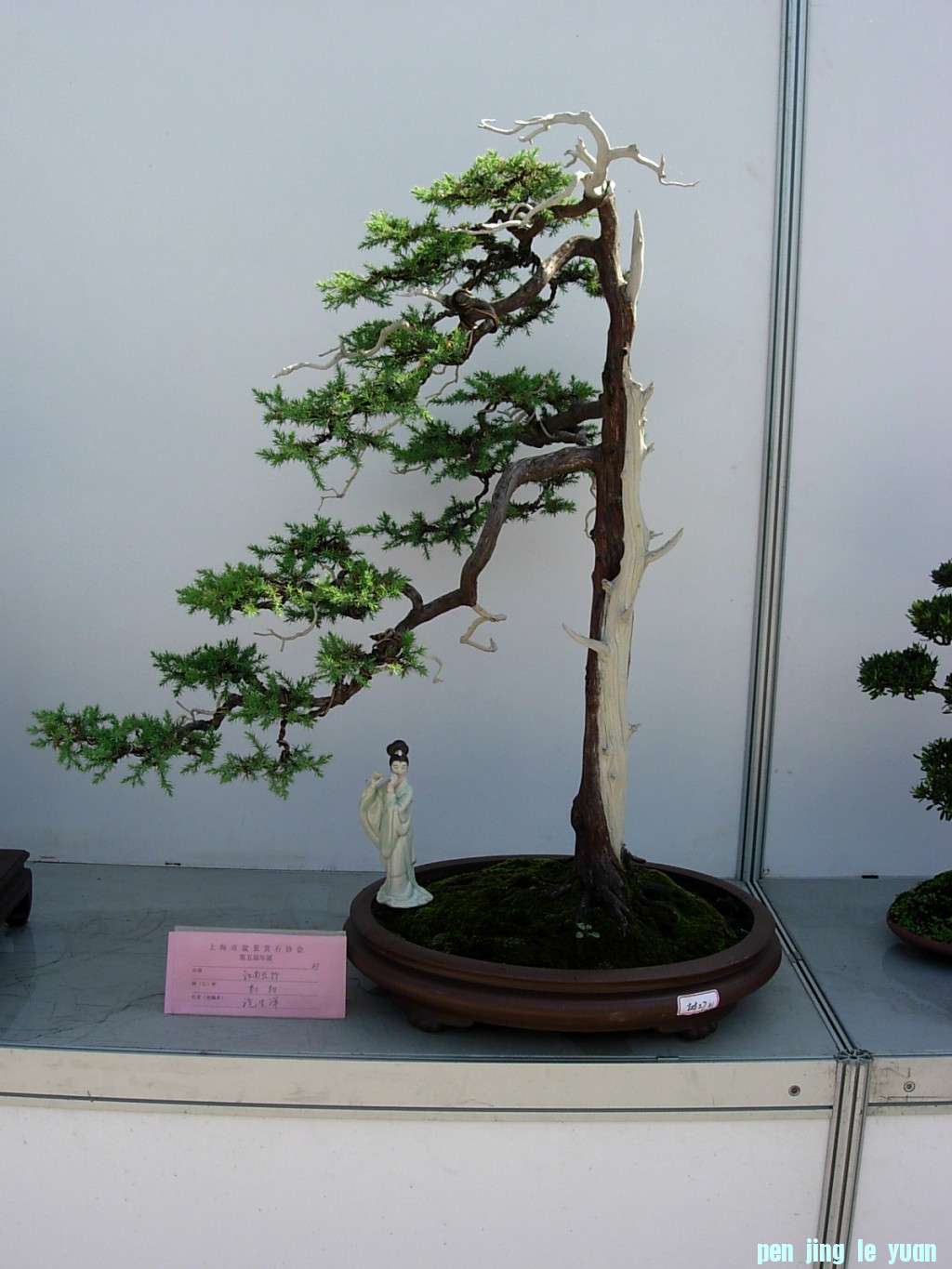conew_dscn8193.jpg