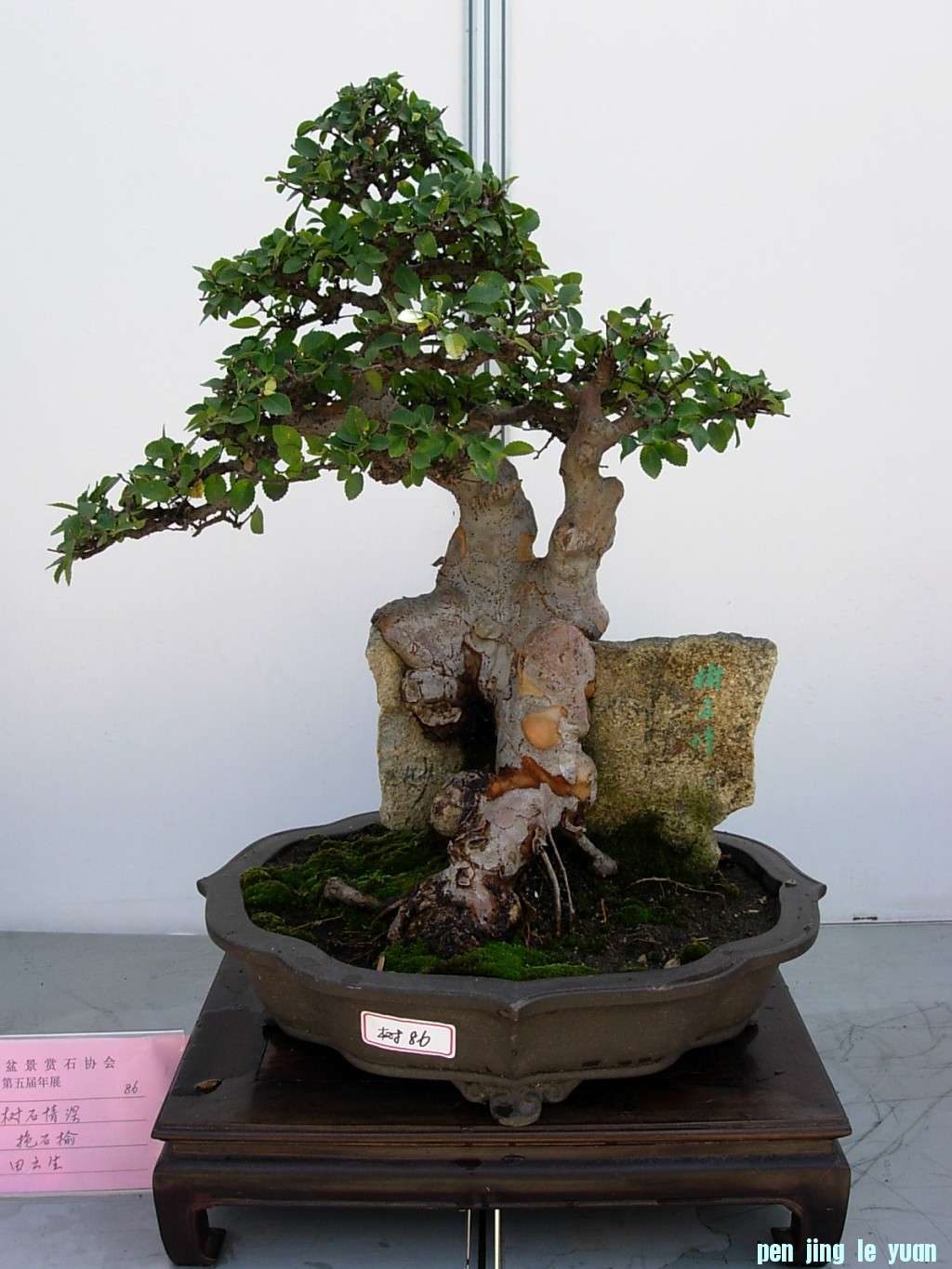 conew_dscn8194.jpg