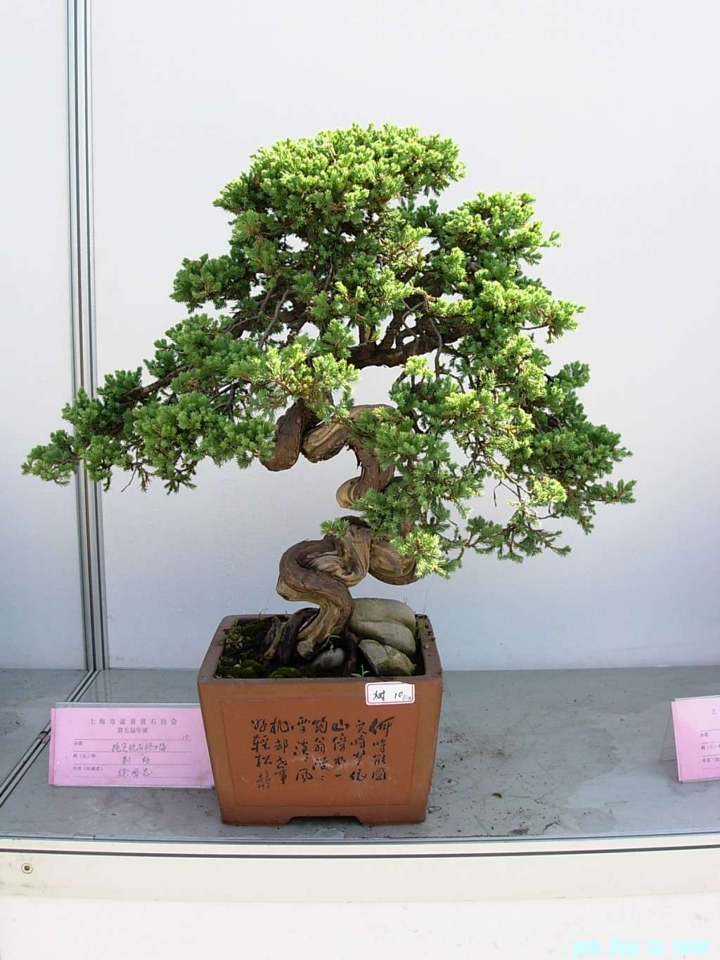 conew_dscn8195.jpg