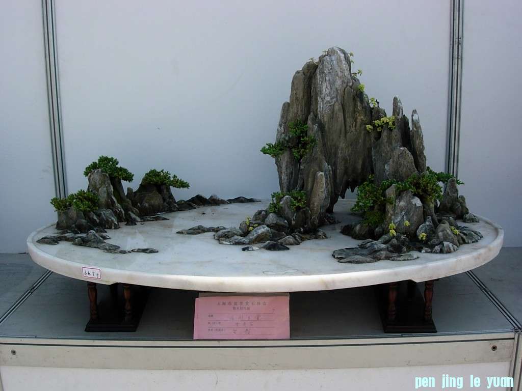 conew_dscn8202.jpg