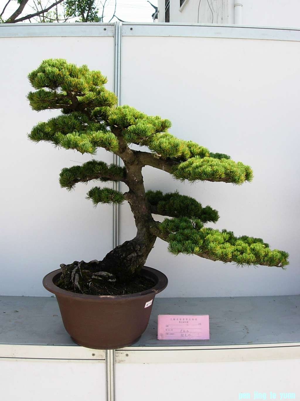 conew_dscn8207.jpg