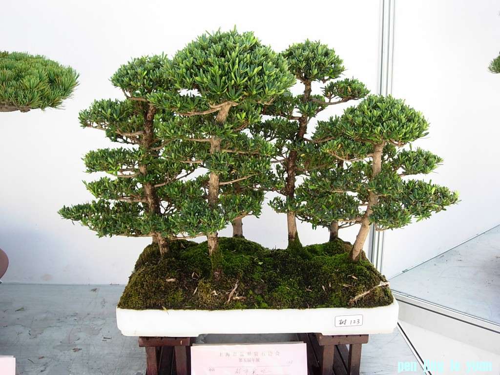conew_dscn8213.jpg