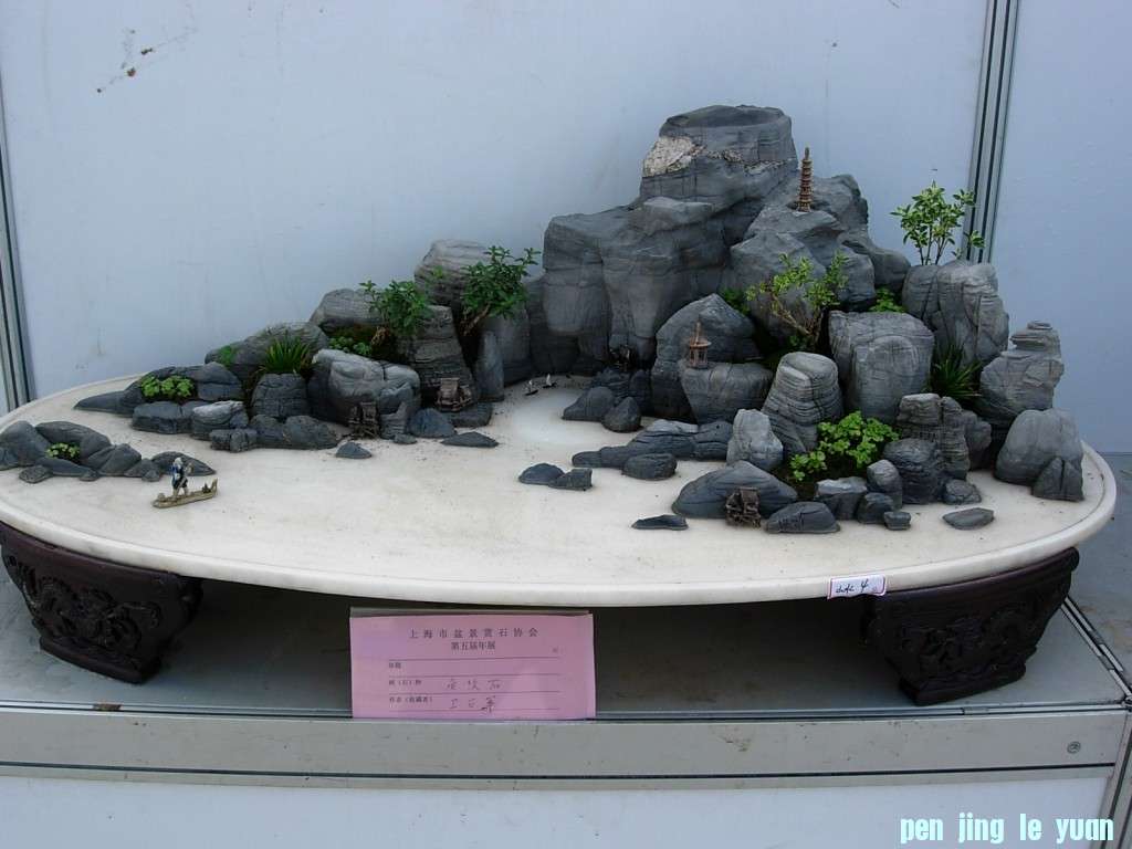 conew_dscn8217.jpg