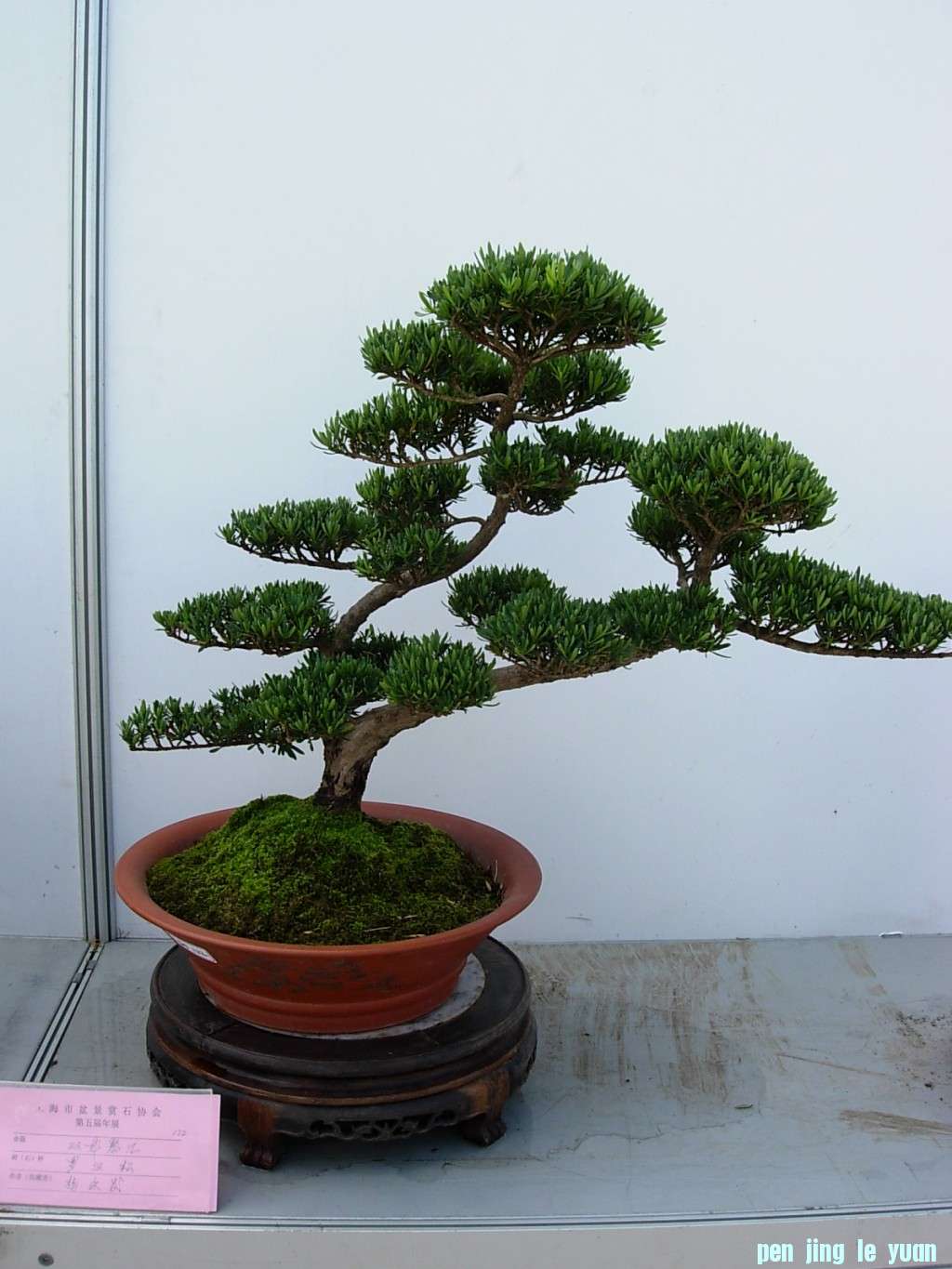 conew_dscn8219.jpg